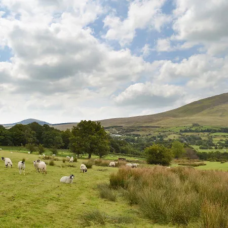 Holiday home The Hoggest *