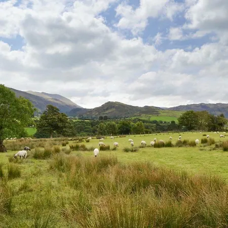 The Hoggest Threlkeld