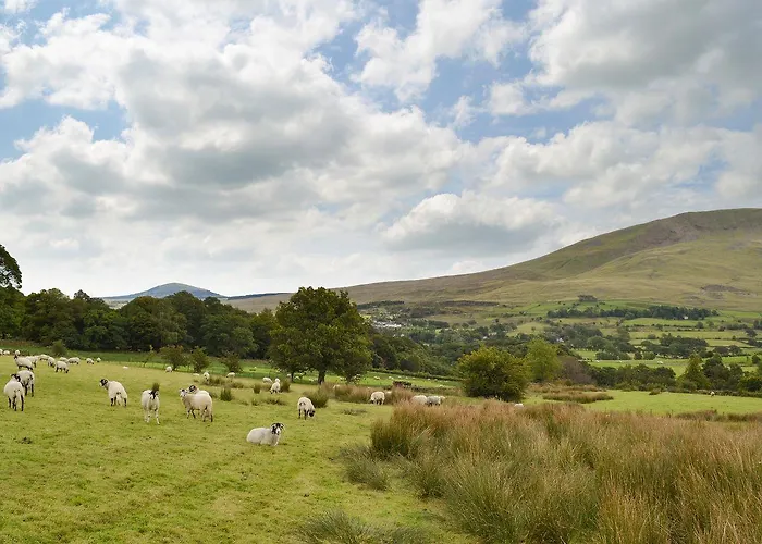 Feriehus The Hoggest *