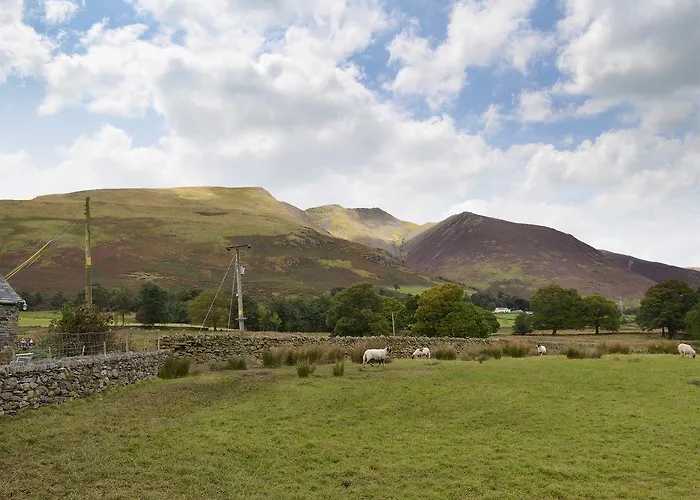 Tatil Evi The Hoggest *