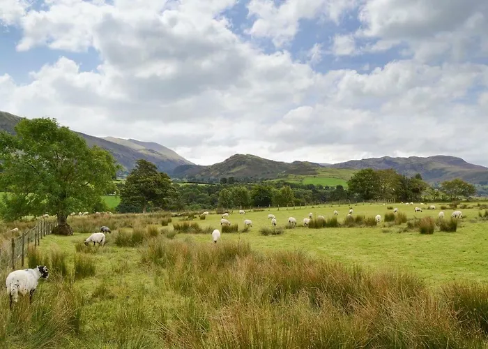 The Hoggest Threlkeld